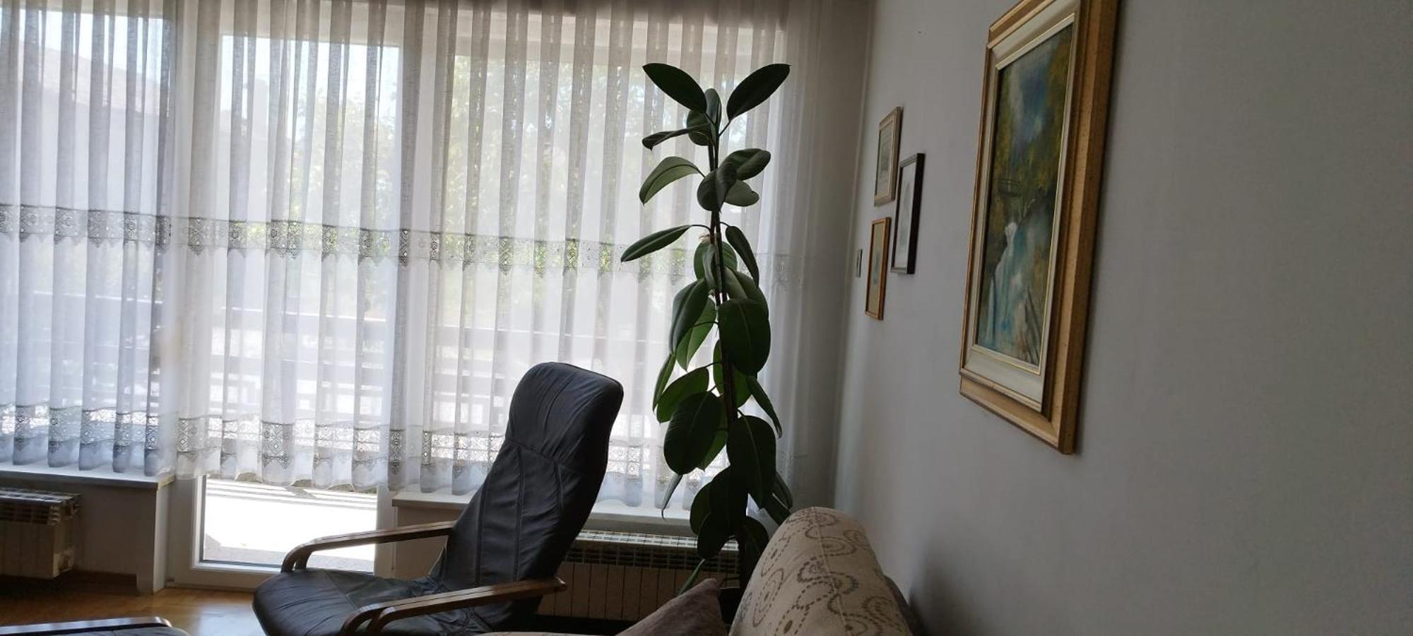 7 Flower Street Apartment Sempeter pri Gorici Екстериор снимка