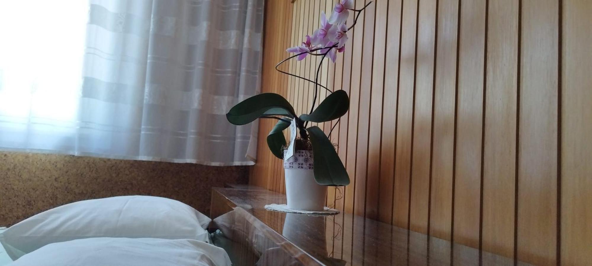 7 Flower Street Apartment Sempeter pri Gorici Екстериор снимка